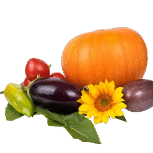 fresh produce product